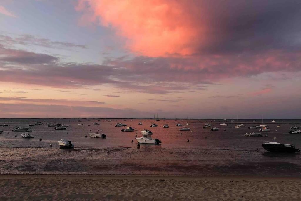 Maison A Arcachon Avec Piscine Hors-Sol エクステリア 写真